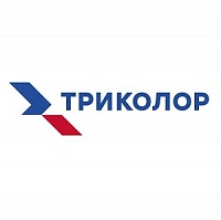 Что смотрят дети: Триколор назвал самые популярные мультфильмы и телеканалы